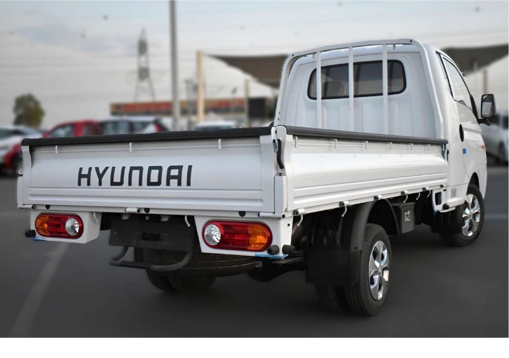 H100 SUPER CAB CARGO TRUCK